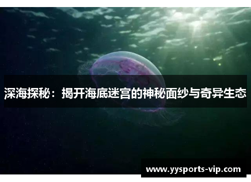 深海探秘：揭开海底迷宫的神秘面纱与奇异生态